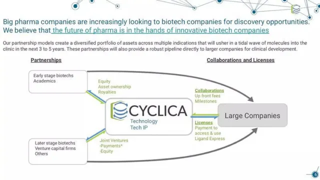 Business model / revenue streams slide 6 from Cyclica