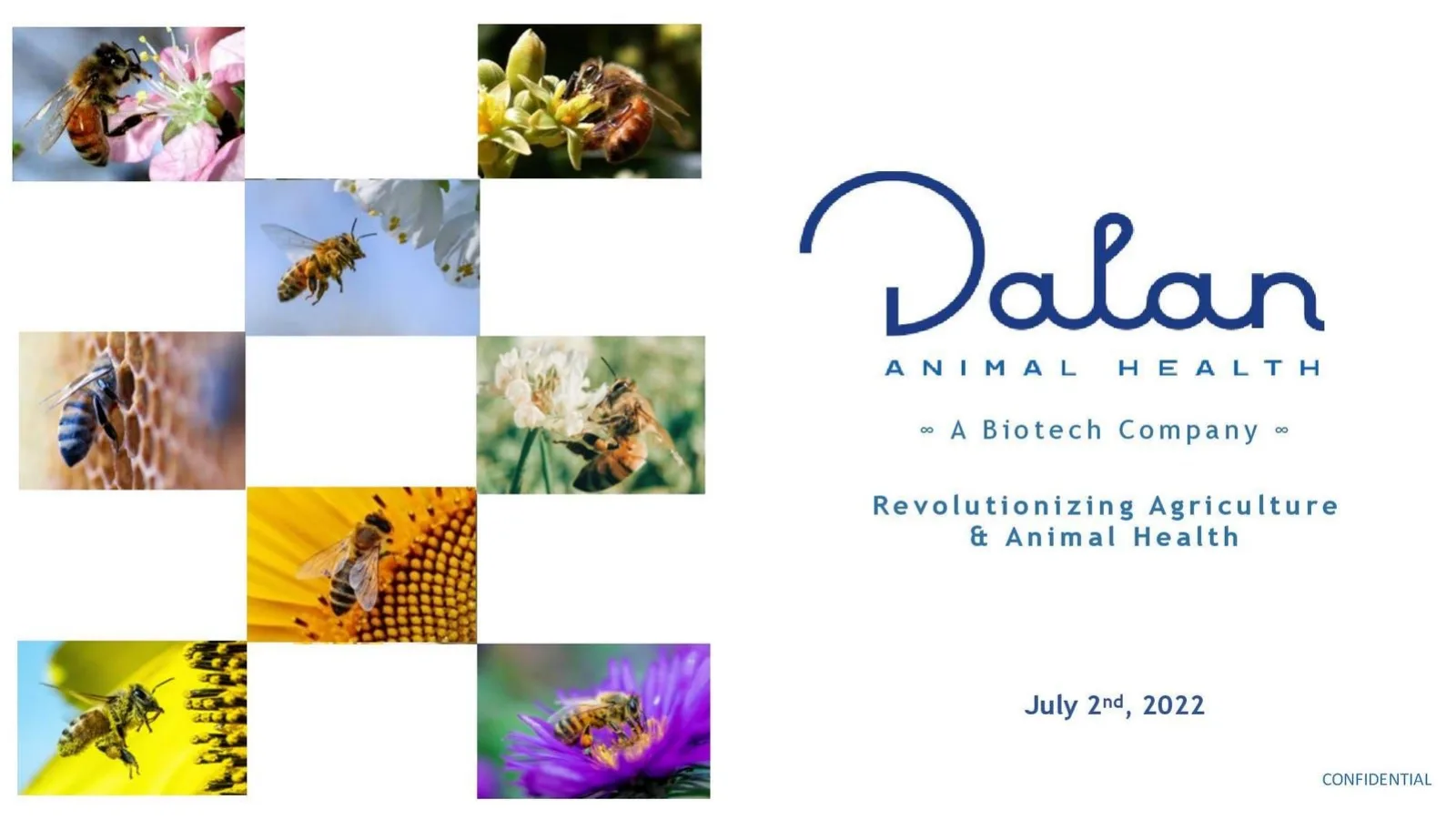 Dalan Animal Health pitch deck slide