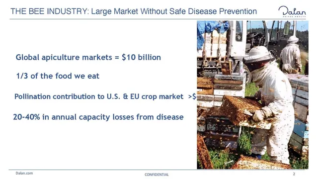 Market sizing / opportunity slide 2 from Dalan Animal Health
