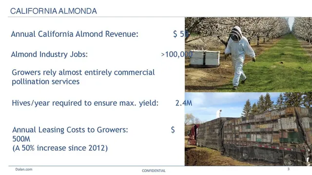 Market sizing / opportunity slide 3 from Dalan Animal Health