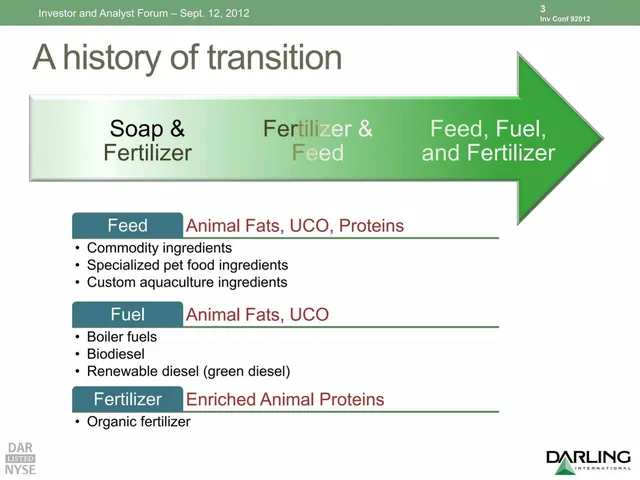 Product / solution slide 4 from Darling International (now Darling Ingredients)
