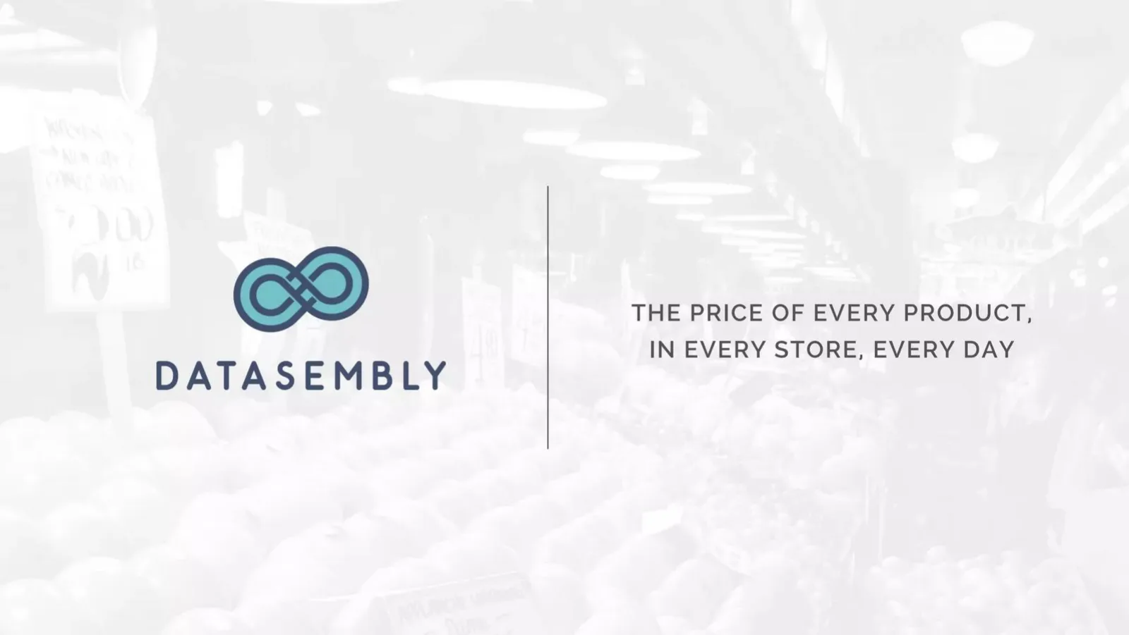 Datasembly pitch deck slide