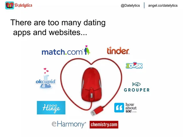 Competitors slide 3 from Datelytics