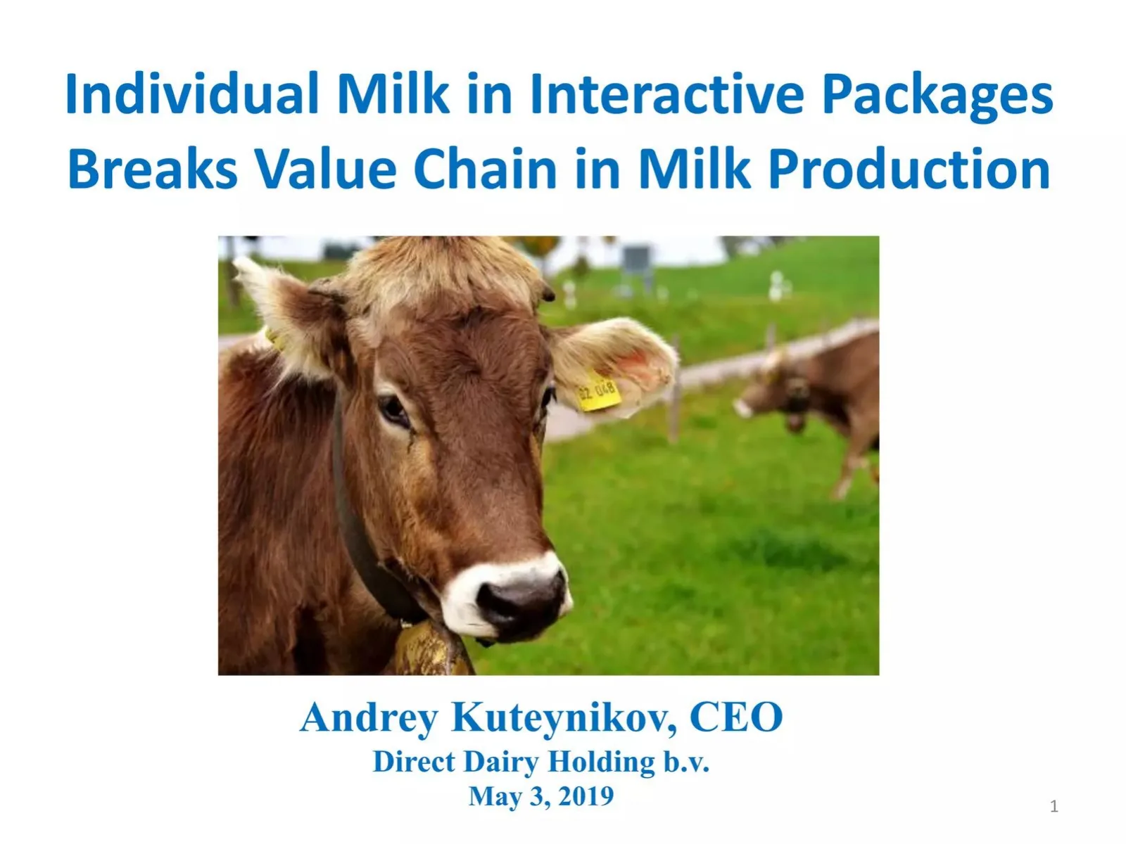 Direct Dairy Holding b.v. pitch deck slide