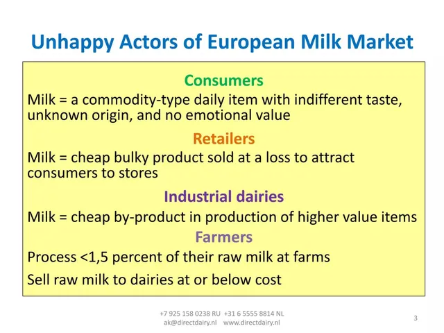 Problem slide 3 from Direct Dairy Holding b.v.