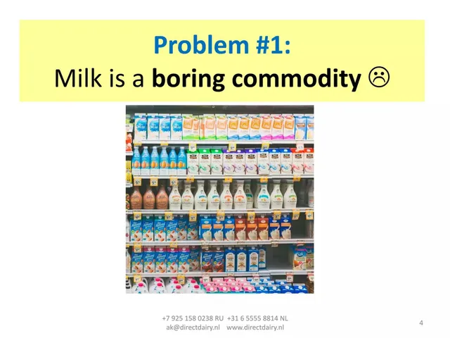 Problem slide 4 from Direct Dairy Holding b.v.