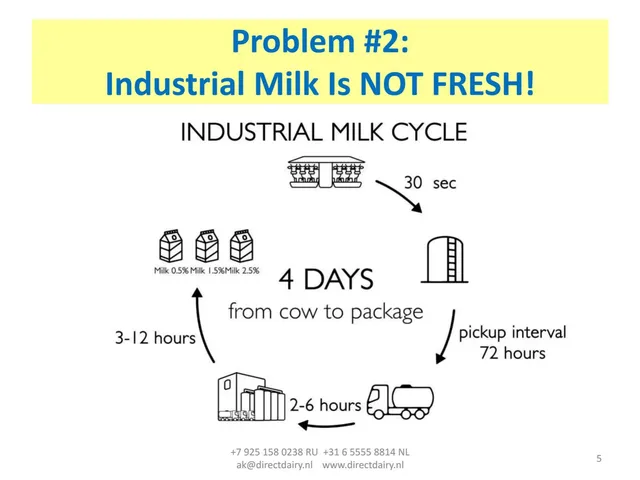 Problem slide 5 from Direct Dairy Holding b.v.