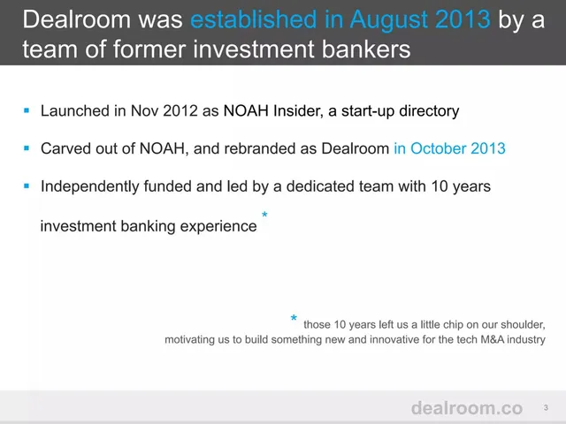 Company overview slide 3 from Dealroom