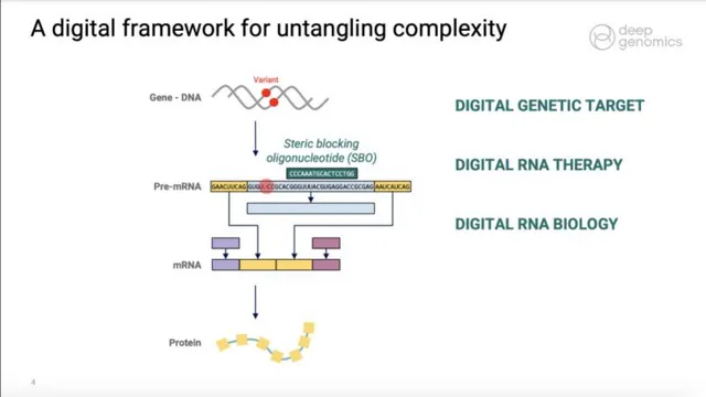 Technology slide 4 from Deep Genomics