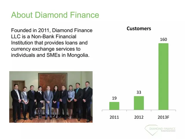 Company overview slide 2 from Diamond Finance