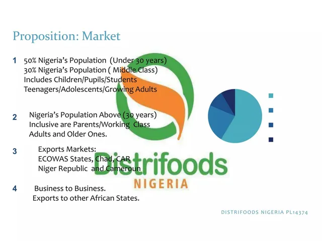 Market analysis / overview slide 5 from Distrifoods Nigeria