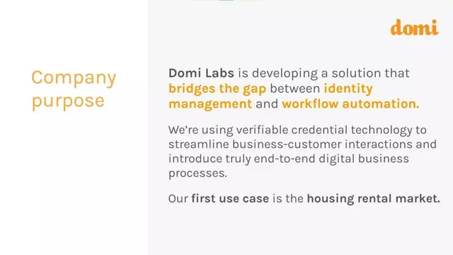 Product / solution slide 3 from Domi Labs