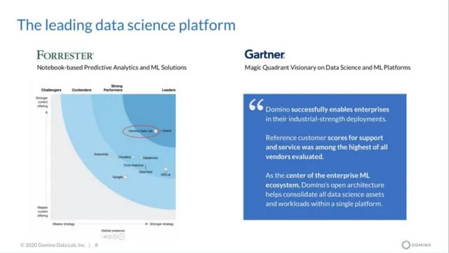 Competitors slide 7 from Domino Data Health