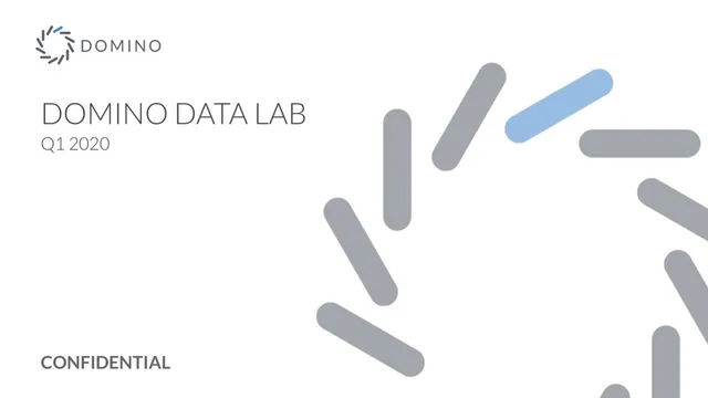 Domino Data Lab pitch deck cover