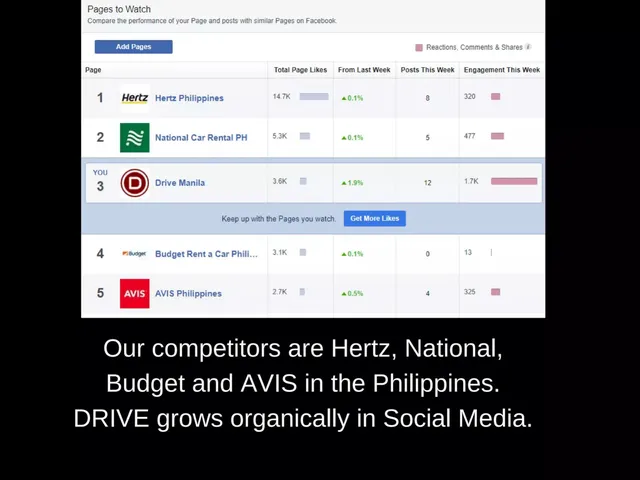 Competitors slide 7 from Drive