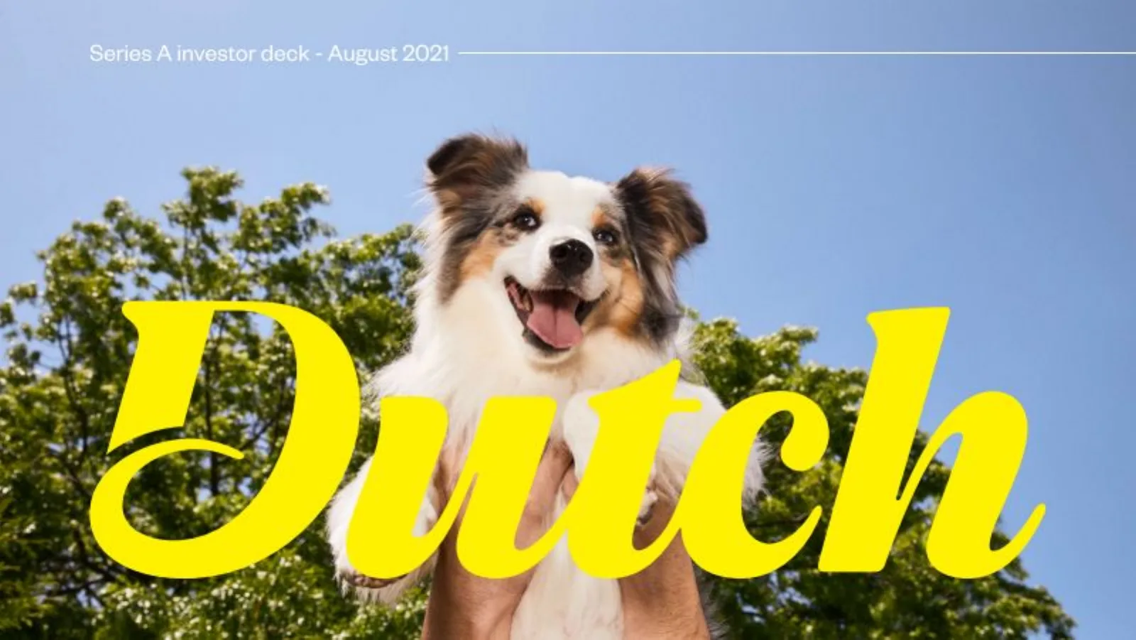 Dutch pitch deck slide