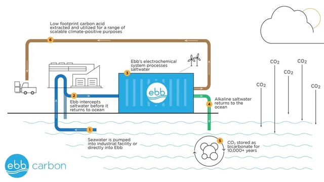 Ebb Carbon pitch deck cover