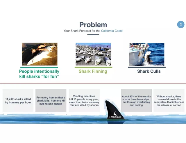 Problem slide 2 from El Porto Shark