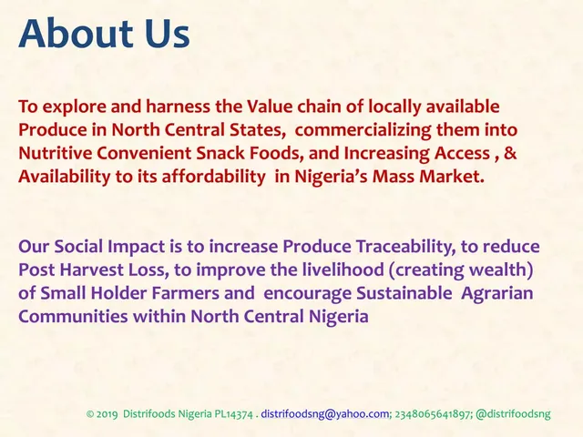 Company overview slide 2 from Distrifoods Nigeria (Xpressbite)