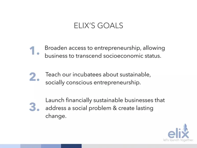 Vision slide 5 from Elix Incubator