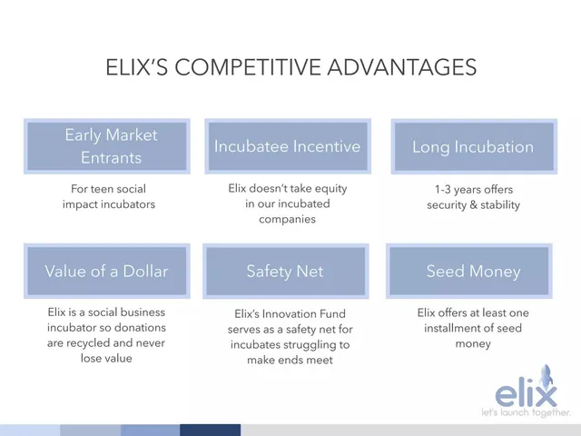 Competitors slide 9 from Elix Incubator