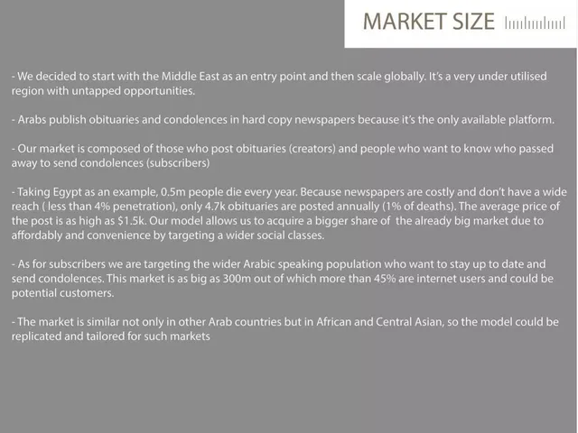 Market sizing / opportunity slide 3 from ElWafeyat