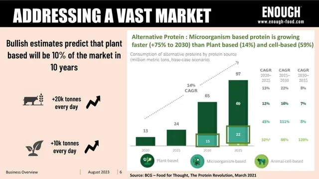 Market sizing / opportunity slide 6 from Enough