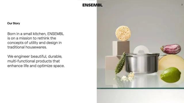Company overview slide 2 from Ensembl