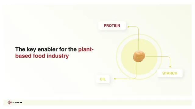 Section divider slide 3 from Equinom