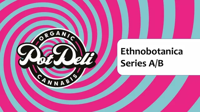 Ethnobotanica (PotDeli) pitch deck cover