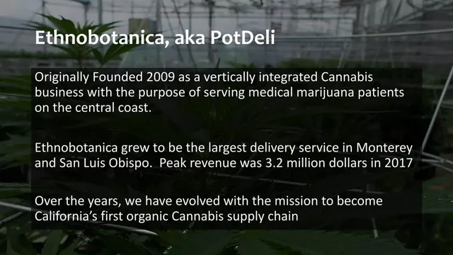 Company overview slide 2 from Ethnobotanica (PotDeli)