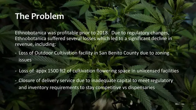 Problem slide 4 from Ethnobotanica (PotDeli)