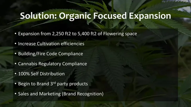 Roadmap slide 5 from Ethnobotanica (PotDeli)