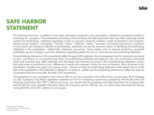 Disclaimer slide 2 from Blink Charging