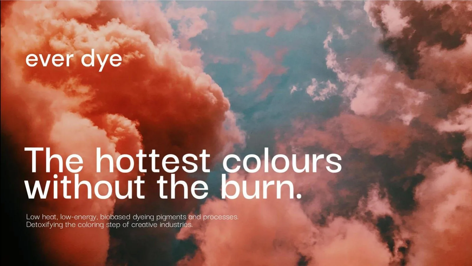 Ever Dye pitch deck slide