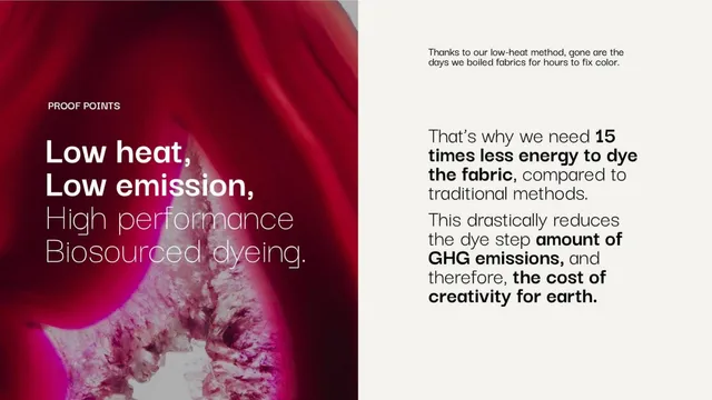 Product / solution slide 6 from Ever Dye