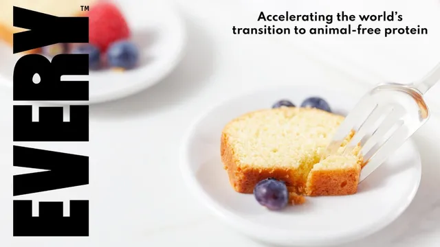 EVERY (formerly Clara Foods) pitch deck cover