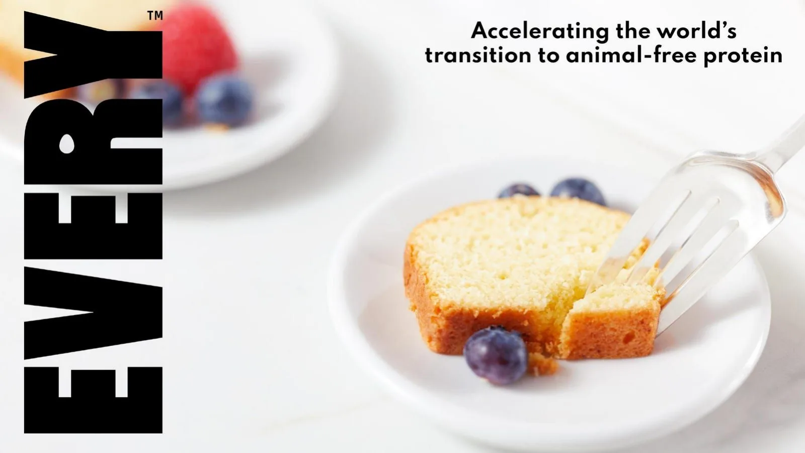EVERY (formerly Clara Foods) pitch deck slide