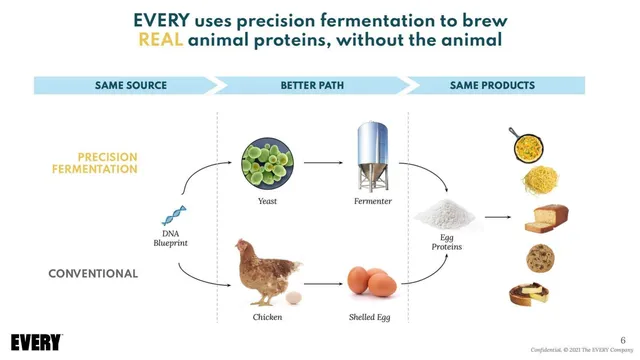 Technology slide 6 from EVERY (formerly Clara Foods)