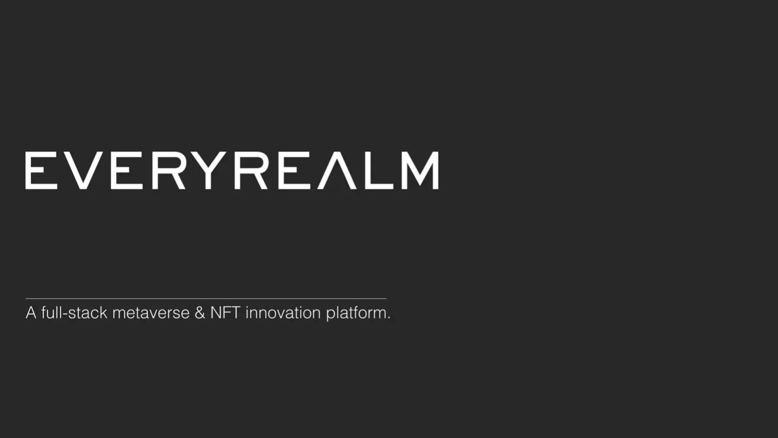 Everyrealm pitch deck slide
