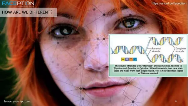 Technology slide 6 from Faception
