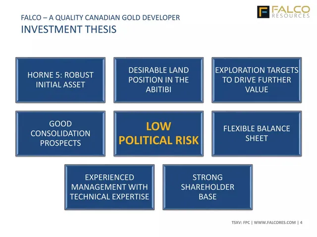 Company overview slide 4 from Falco Resources
