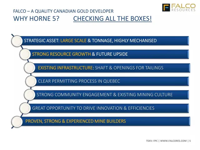 Company overview slide 5 from Falco Resources