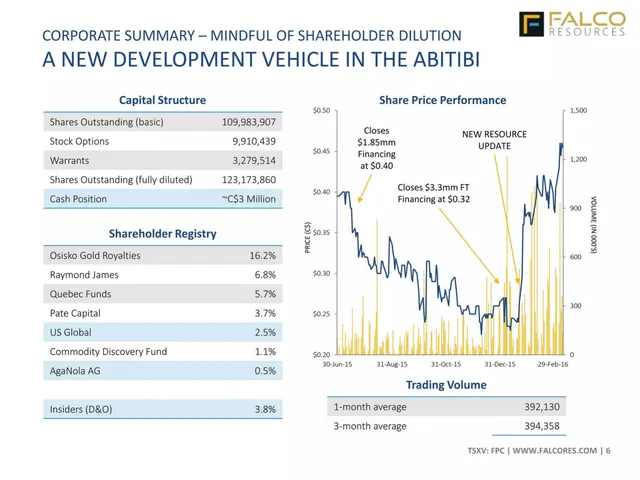 Company overview slide 6 from Falco Resources