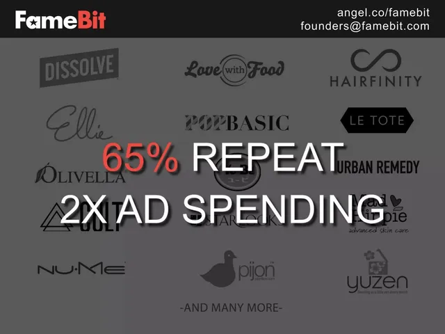 Traction slide 4 from FameBit