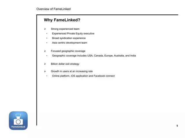 Company overview slide 6 from FameLinked