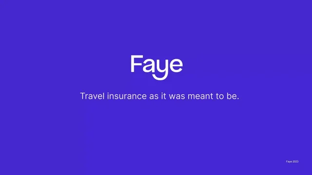 Faye pitch deck cover