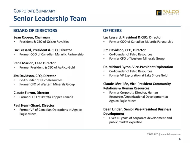 Team slide 5 from Falco Resources