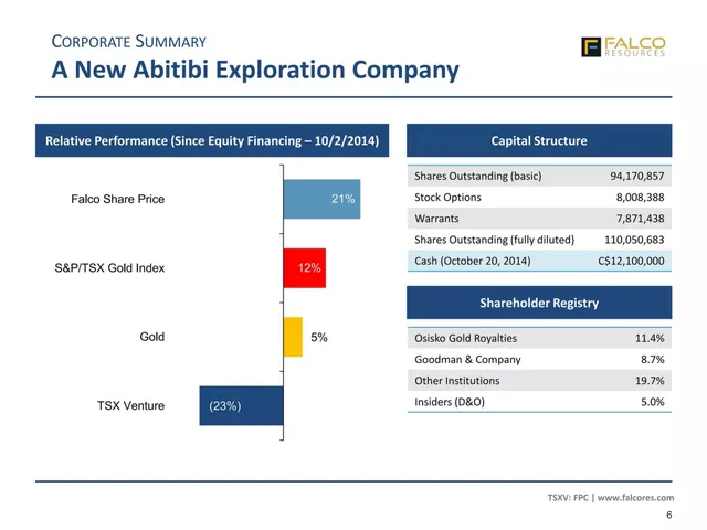 Company overview slide 6 from Falco Resources