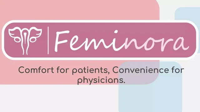 Feminora pitch deck cover